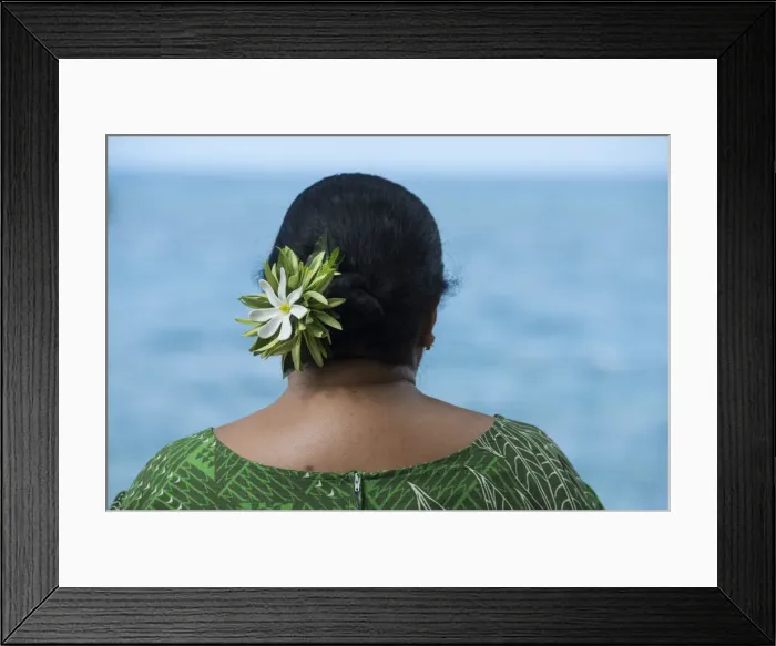 Framed Print : Big Island