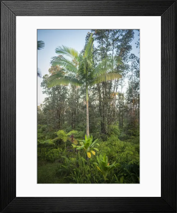 Framed Print : Big Island