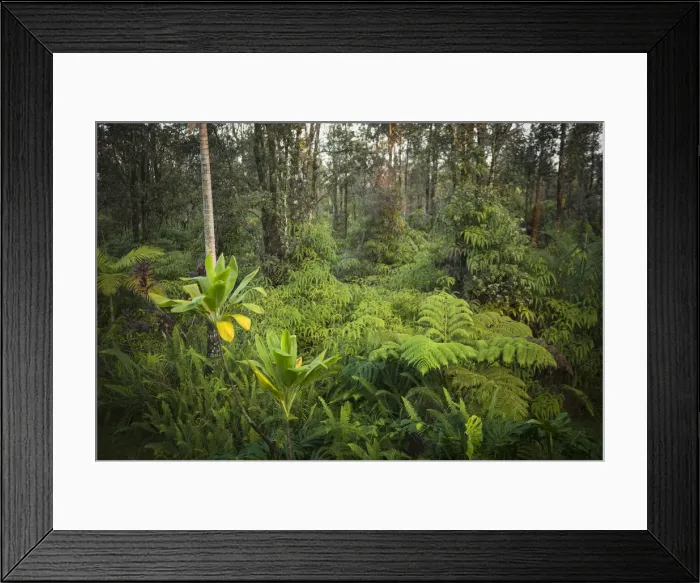 Framed Print : Big Island
