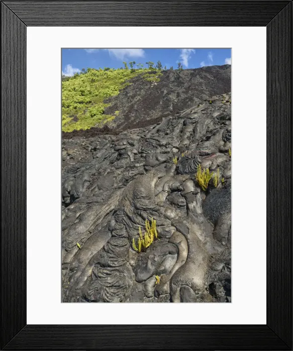 Framed Print : Big Island