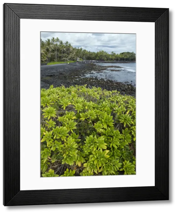 Framed Print : Big Island