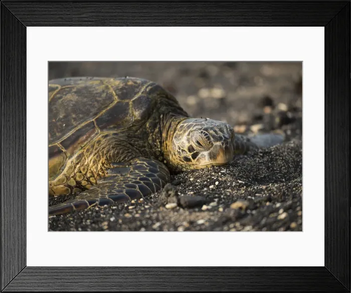 Framed Print : Big Island