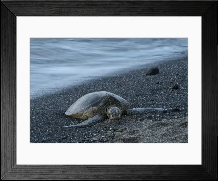 Framed Print : Big Island