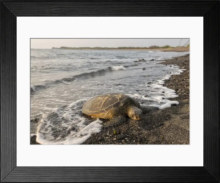 Framed Print : Big Island