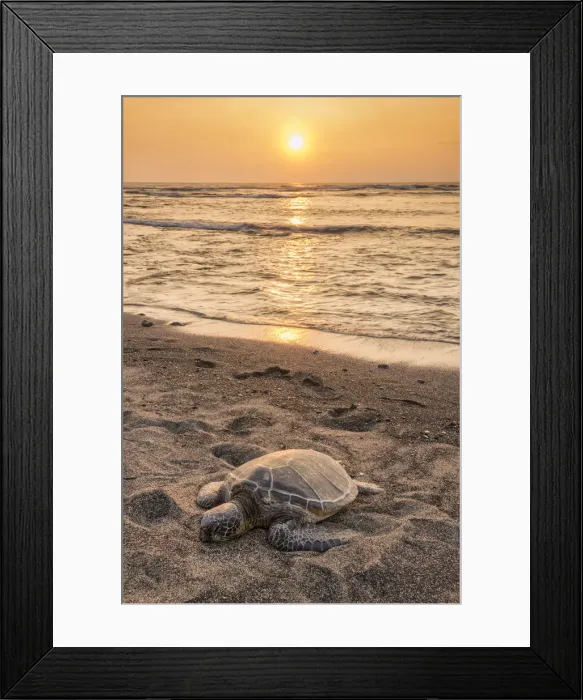 Framed Print : Big Island