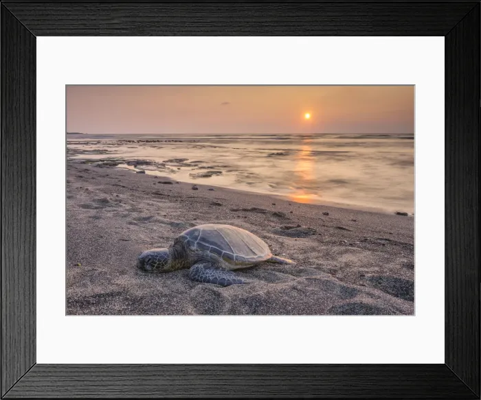 Framed Print : Big Island