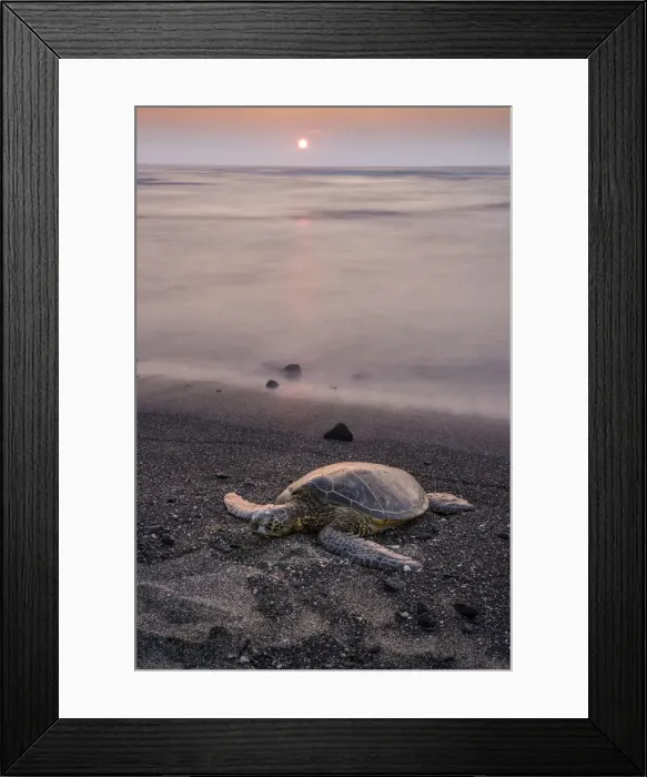 Framed Print : Big Island