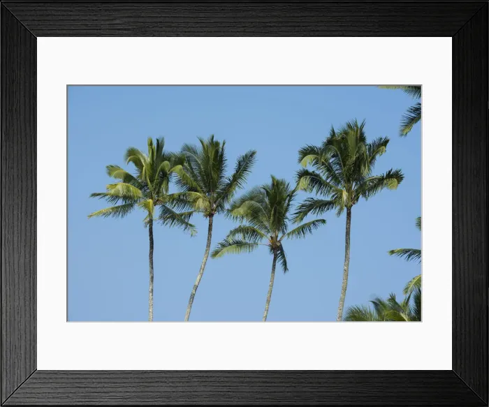 Framed Print : Big Island