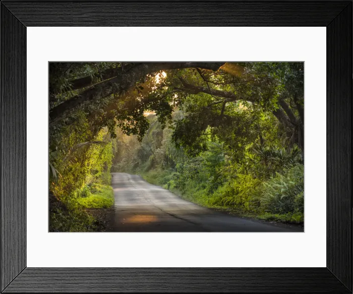 Framed Print : Big Island