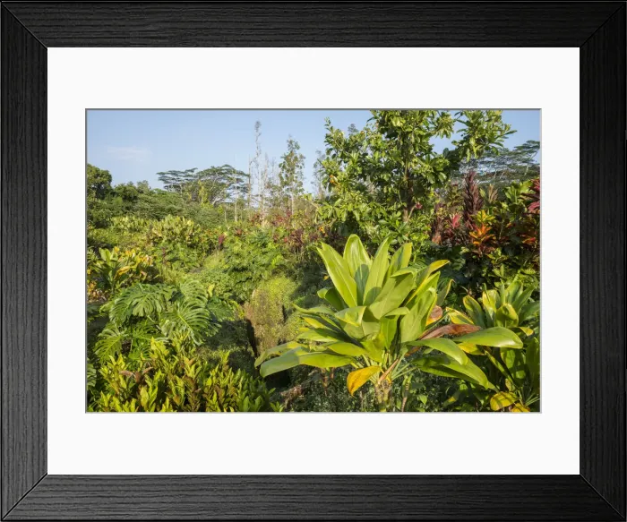 Framed Print : Big Island
