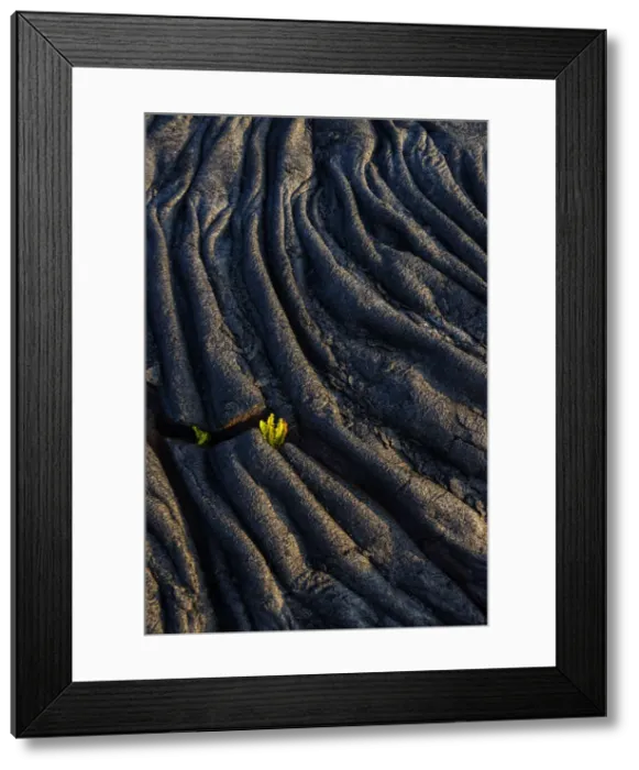 Framed Print : Big Island
