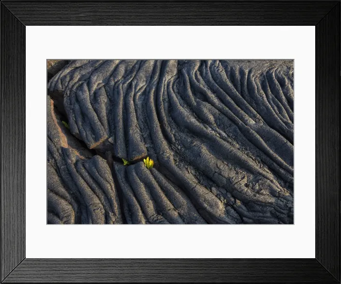 Framed Print : Big Island