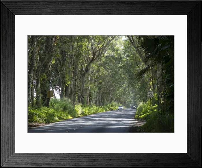 Framed Print : Kauai. USA, South Pacific, Hawaii, Kauai, Maluhia road