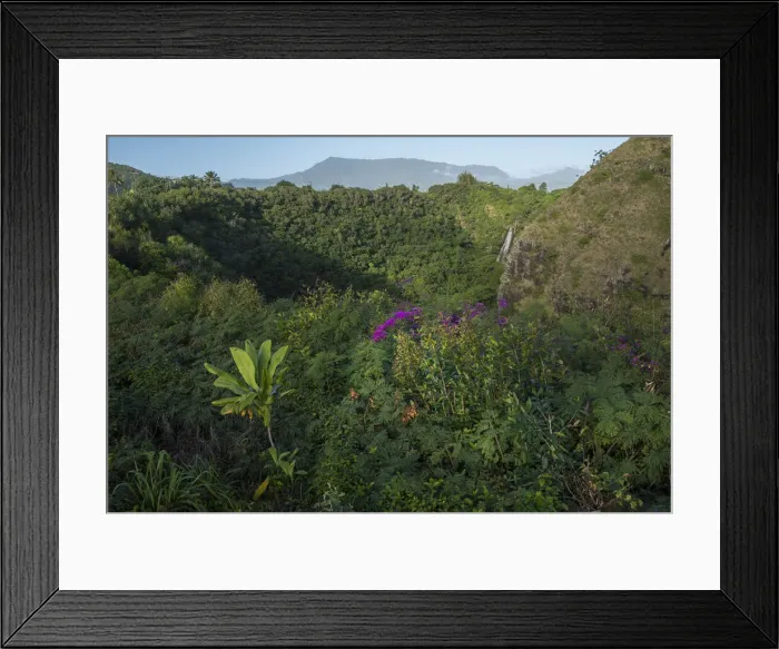 Framed Print : Kauai. USA, South Pacific, Hawaii, Kauai, Lihue, Opaekaa Falls