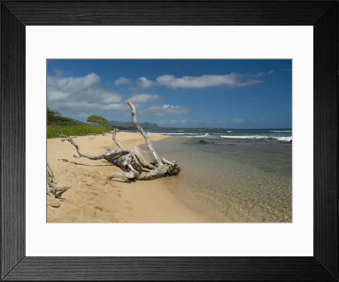 Framed Print : Kauai. USA, South Pacific, Hawaii, Lihue, Aqua Resort