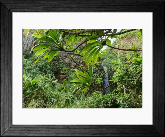 Framed Print : Hawaii. South Pacific, USA, Hawaii, Hawaiian, Island