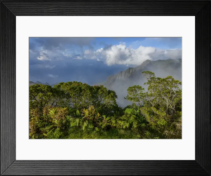 Framed Print : Hawaii. South Pacific, USA, Hawaii, Hawaiian, Island, Kauai, North Shore, Na Pali Coast