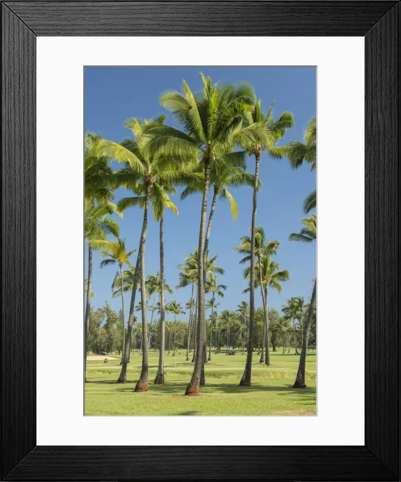 Framed Print : Kauai. USA, Hawaii, Kauai, Wailua County Golf Course