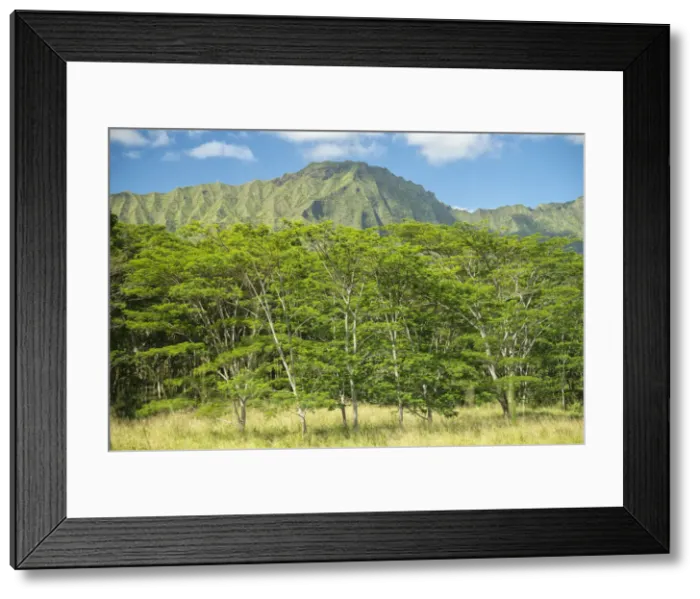 Framed Print : Kauai. USA, South Pacific, Hawaii, Kauai, Lihue, Mt. Waialaale Framed Print : Kauai. USA, South Pacific, Hawaii, Kauai, Lihue, Mt. Waialaale