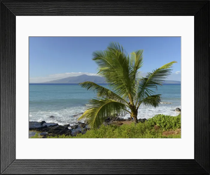 Framed Print : Maui. USA, Hawaii, Maui, Kaanapali, Beach and Palm