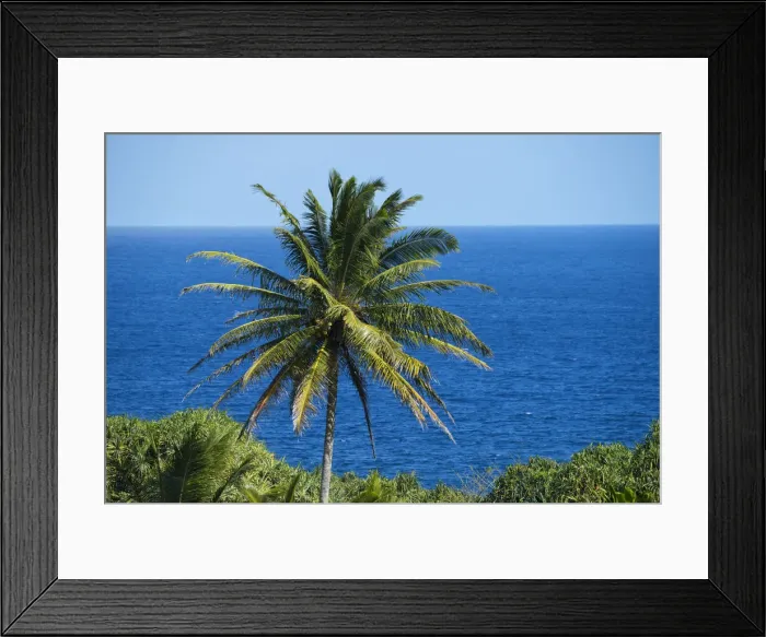 Framed Print : Maui. USA, Hawaii, Maui, Hana, Palm