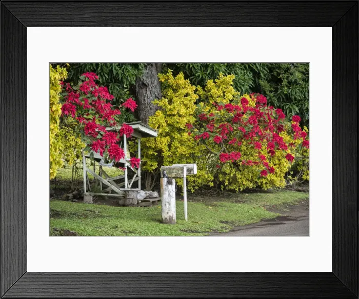 Framed Print : Maui. USA, Hawaii, Maui, Hana