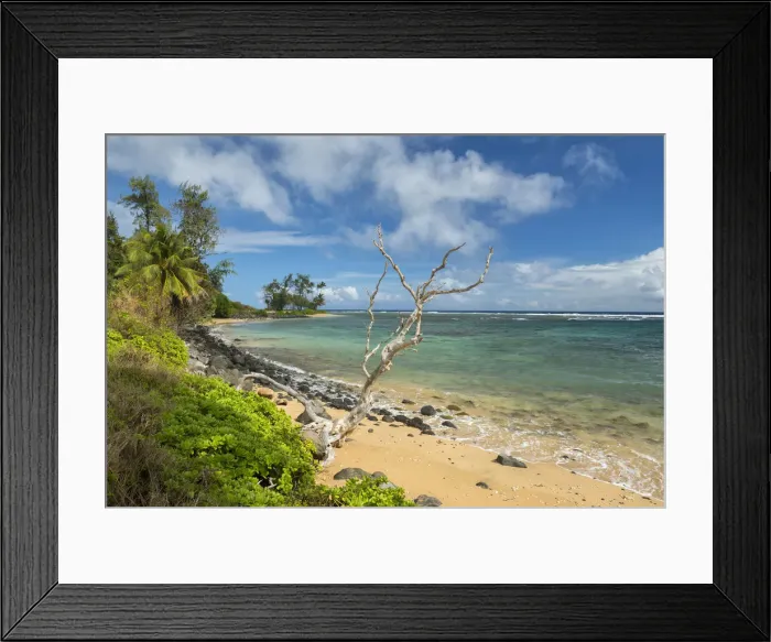 Framed Print : Molokai. USA, Hawaii, Molokai, Molokai beach