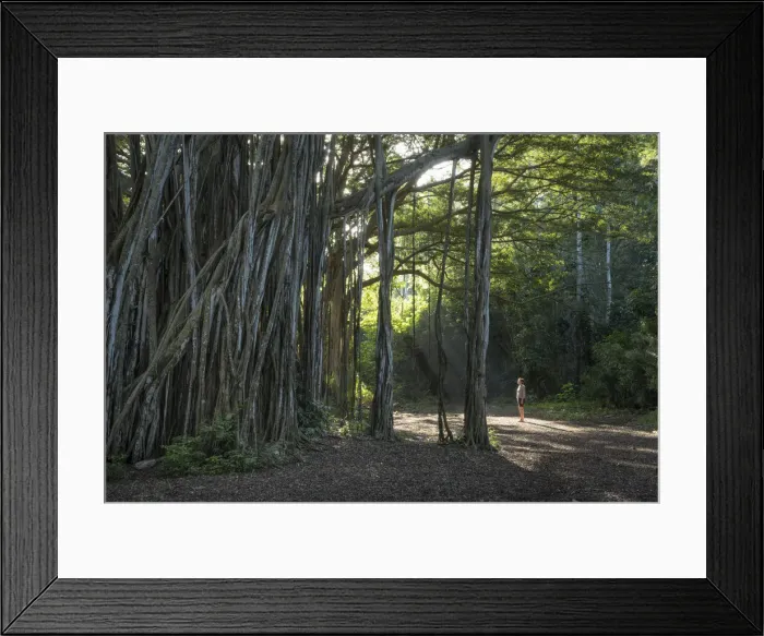 Framed Print : Hawaii. USA, Hawaii, OahuUSA, Hawaii, Oahu, North Shore, Kawela, Kawela Bay, woman