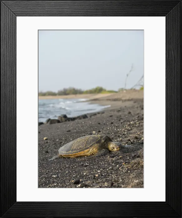 Framed Print : Big Island