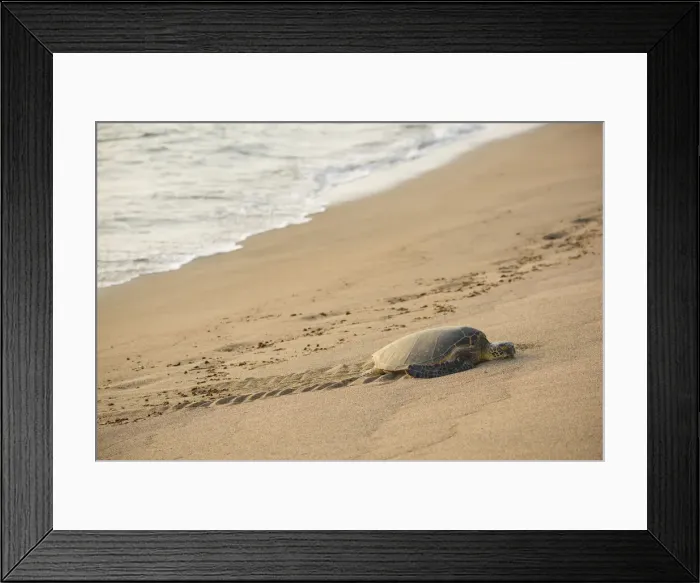 Framed Print : Big Island
