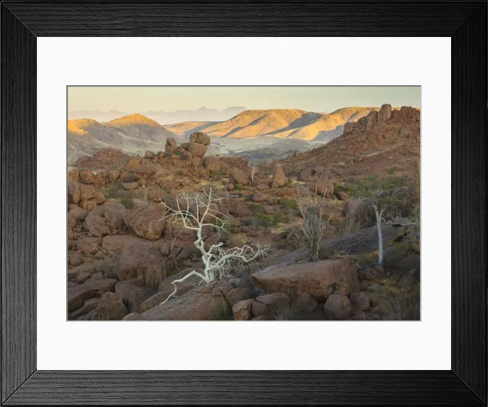 Framed Print : Namibia. Africa, Namibia, Damaraland, Namib, Movani, desert landscape with white three Framed Print : Namibia. Africa, Namibia, Damaraland, Namib, Movani, desert landscape with white three