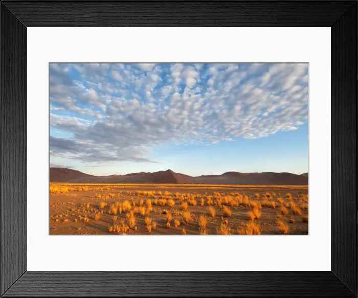 Framed Print : Africa, Southern, African, Namibia, Namib-Naukluft National Park