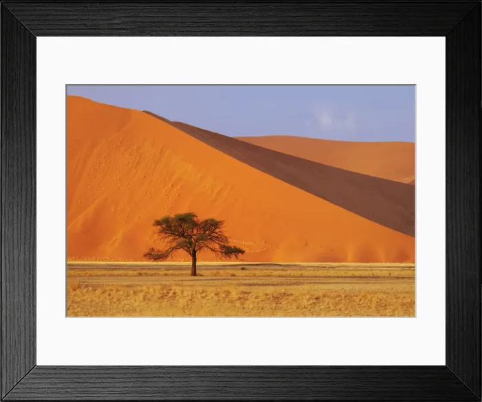 Framed Print : Africa, Southern, African, Namibia, Namib-Naukluft National Park Framed Print : Africa, Southern, African, Namibia, Namib-Naukluft National Park