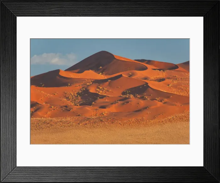 Framed Print : Africa, Southern, African, Namibia, Namib-Naukluft National Park