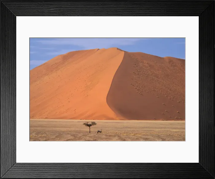 Framed Print : Africa, Southern, African, Namibia, Namib-Naukluft National Park