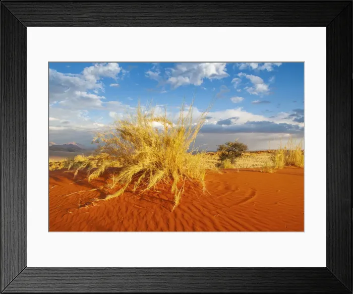 Framed Print : Wolwedans. Africa, Southern, African, Namibia Framed Print : Wolwedans. Africa, Southern, African, Namibia