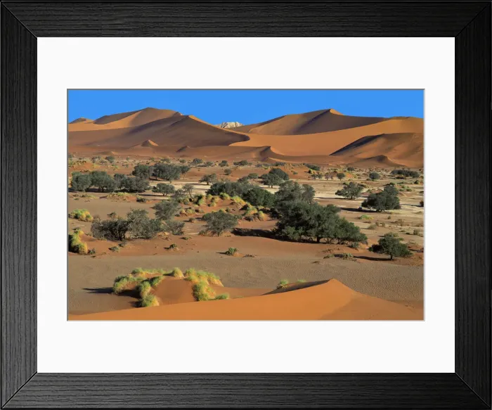 Framed Print : Desert Dunes Framed Print : Desert Dunes