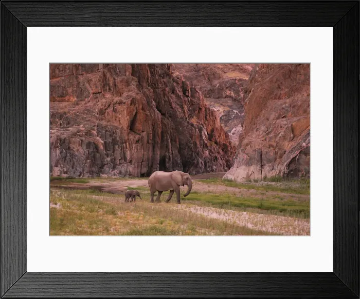 Framed Print : Kaokoveld. Desert Elephant (Loxodonta africana africana) Framed Print : Kaokoveld. Desert Elephant (Loxodonta africana africana)