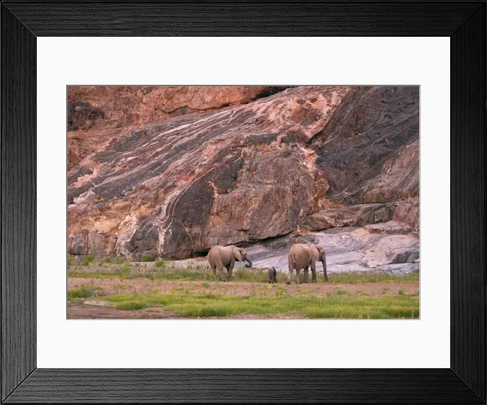 Framed Print : Kaokoveld. Desert Elephant (Loxodonta africana africana) Framed Print : Kaokoveld. Desert Elephant (Loxodonta africana africana)