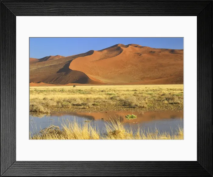 Framed Print : Oryx. Sand dunes, Sossusvlei, Namib Naukluft Park, Hardap Region, Namibia