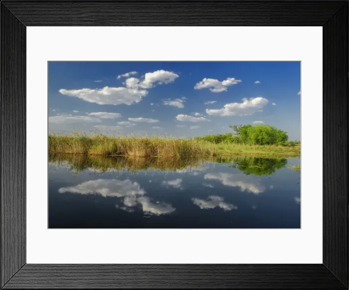 Framed Print : Kwando River Framed Print : Kwando River
