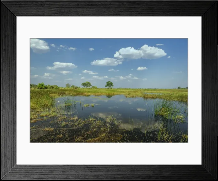 Framed Print : Kwando Wetland Framed Print : Kwando Wetland