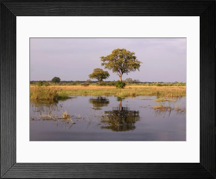 Framed Print : Kwando River