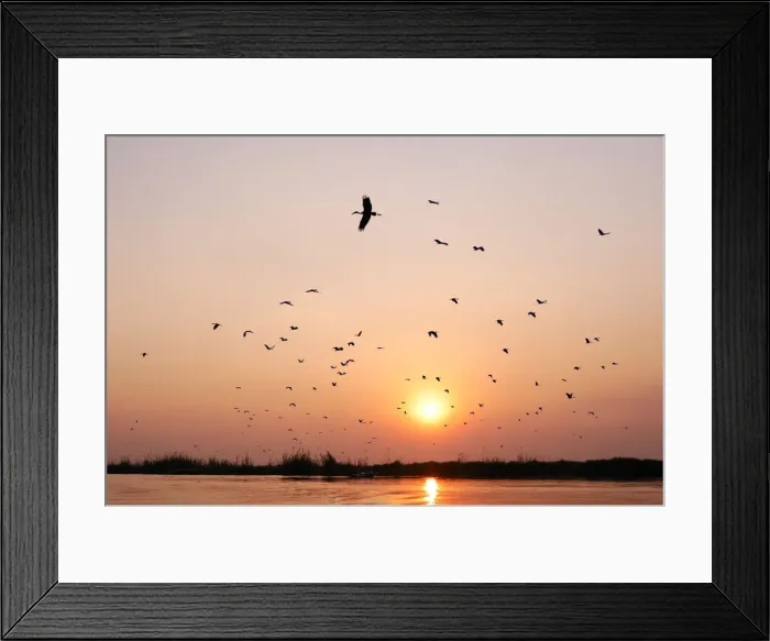 Framed Print : Namibia. Sunset over the Zambezi River, Ntwala Island Lodge, near Kasane, Caprivi, Namibia Framed Print : Namibia. Sunset over the Zambezi River, Ntwala Island Lodge, near Kasane, Caprivi, Namibia