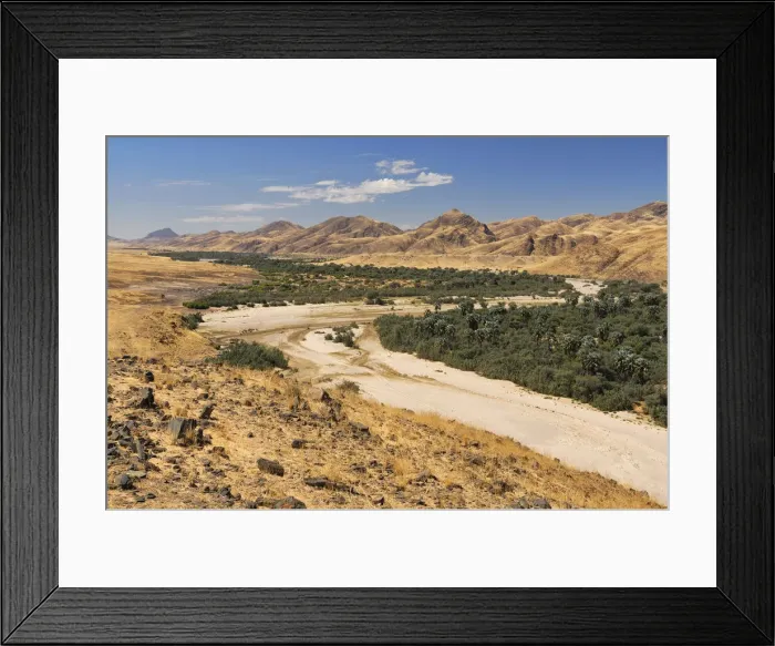 Framed Print : Skeleton Coast