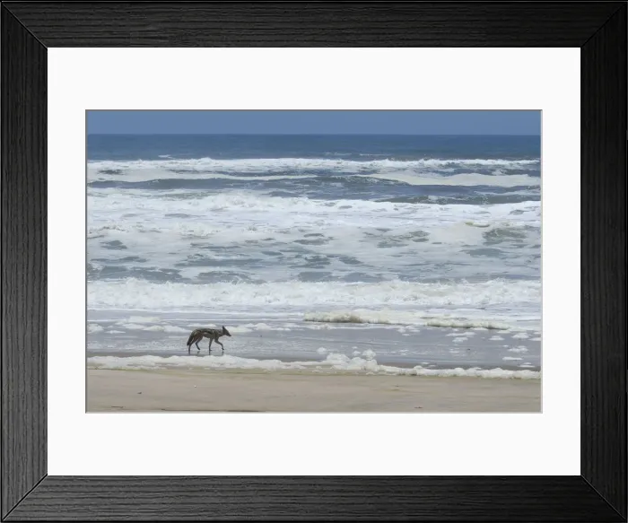Framed Print : Skeleton Coast