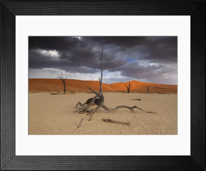 Framed Print : Namibia. Dead Vlei, Sand Dunes, Sossusvlei area