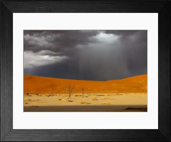 Framed Print : Dead Vlei. Storm over Dead Vlei, Sand Dunes, Sossusvlei area Framed Print : Dead Vlei. Storm over Dead Vlei, Sand Dunes, Sossusvlei area