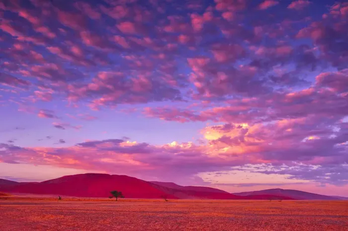 Framed Print : Africa. Sunrise with colorful clouds, Namib Naukluft National Park, Hardap Region, Namibia Framed Print : Africa. Sunrise with colorful clouds, Namib Naukluft National Park, Hardap Region, Namibia