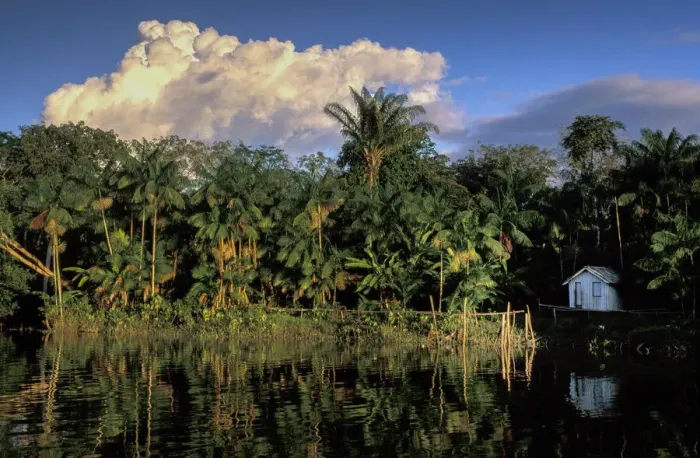 Framed Print : Amazon. South America; Amazon; Brazil; Belem, Ilha do Marajo, river; hut